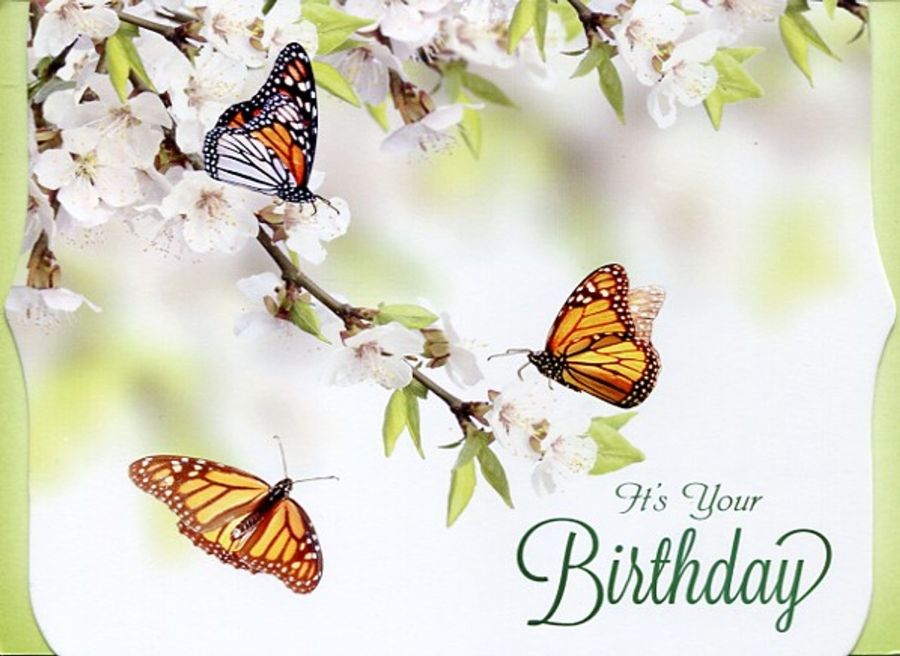 540-0493 Product Image 4