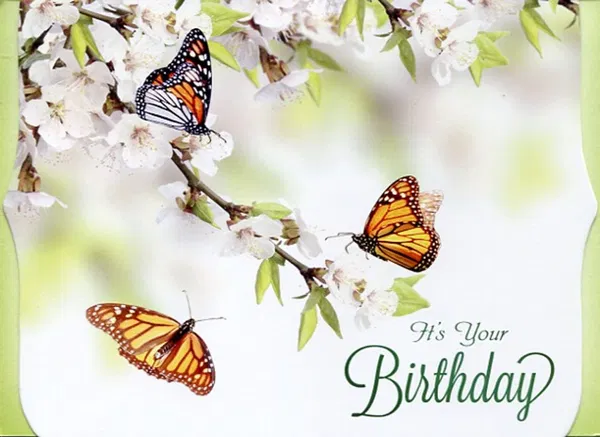 540-0493 Product Image 5