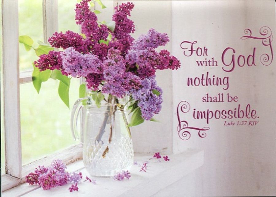 540-0503 Product Image 4