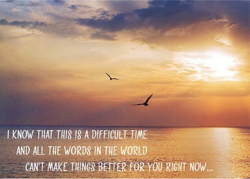 540-0521 Product Image 4