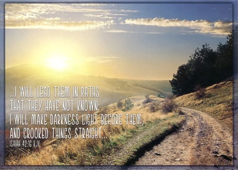 540-0523 Product Image 3