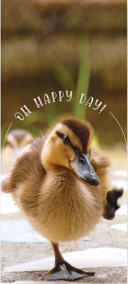 Product 540-0536 - View 2 540-0536 Product Image 2