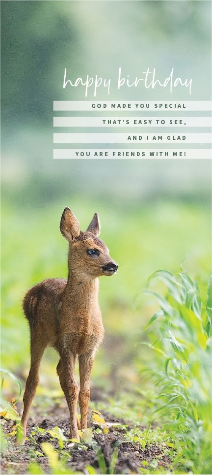 Product 540-0536 - View 3 540-0536 Product Image 3