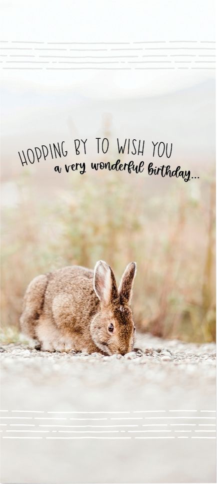 Product 540-0536 - View 4 540-0536 Product Image 4