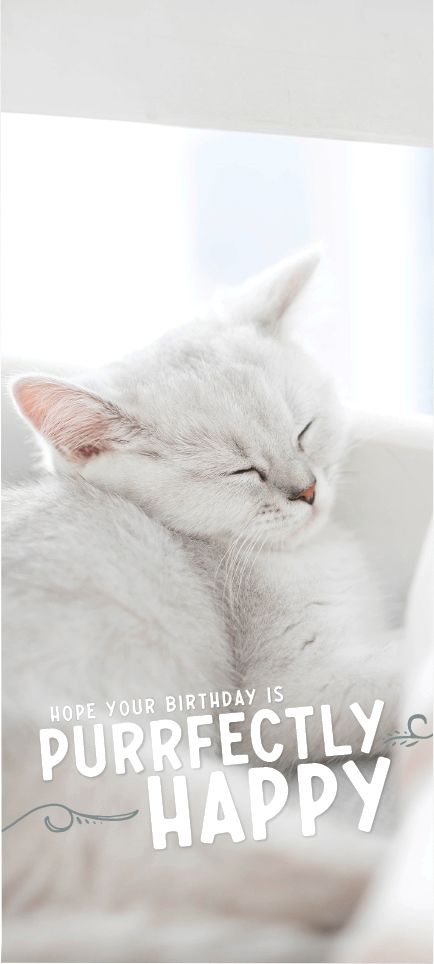 Product 540-0537 - View 1 540-0537 Product Image 1