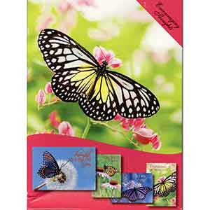 Boxed Cards Blooming Birdhouses Encouraging Thoughts