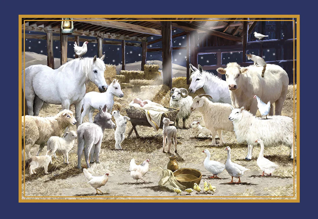 Nativiy Scene W/ Animals Gathered Boxed Cards