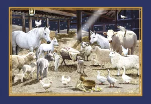 Nativiy Scene W/ Animals Gathered Boxed Cards