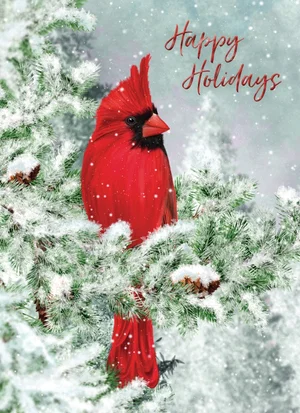 Value Box Christmas Cards 48 pk.