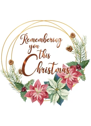 Winter Frames Boxed Christmas Cards 12 pk.