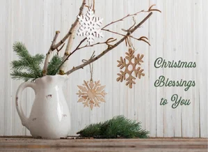 Gift of Peace Boxed Christmas Cards 12 pk.