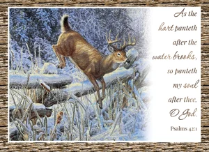 Winter Deer Boxed Christmas Cards 12 pk.