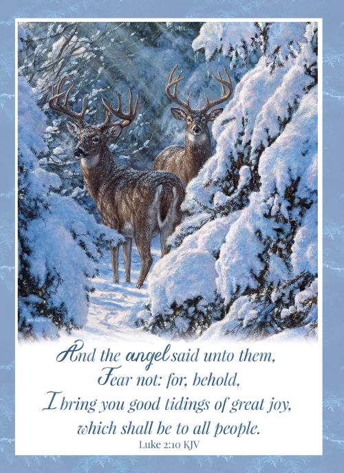 540-0586 Product Image 2