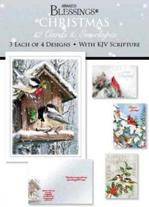 Boxed Christmas Cards - Winter Birds II
