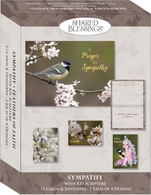 Sympathy Boxed Cards- Feathers of Faith KJV