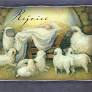 Rejoice Boxed Christmas Cards