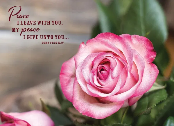 540-0624 Product Image 5