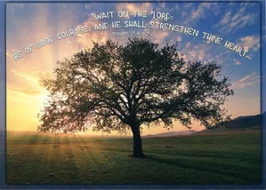 Brightest Blessings Birthday Boxed Greeting Cards