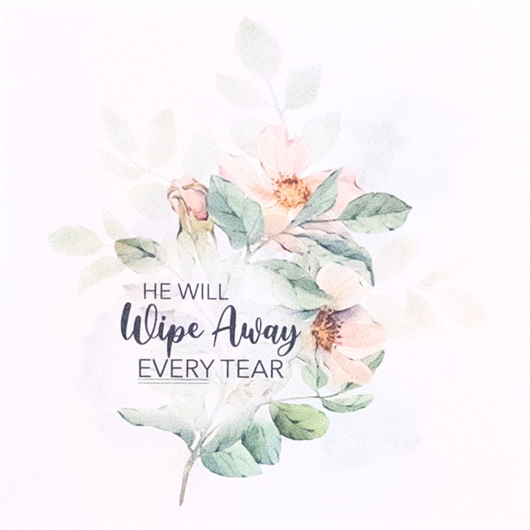 Card Individual Sympathy