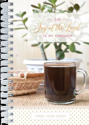 Three Year Diary Joy NA