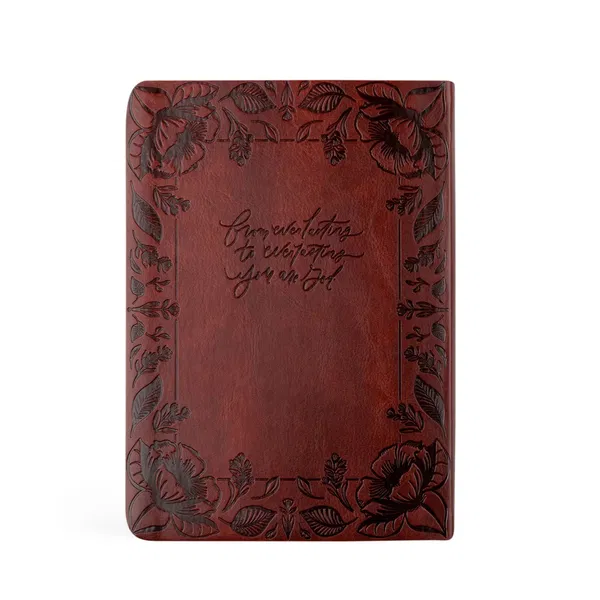 550-0096 Product Image 2
