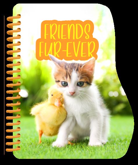 550-0128 Product Image 1