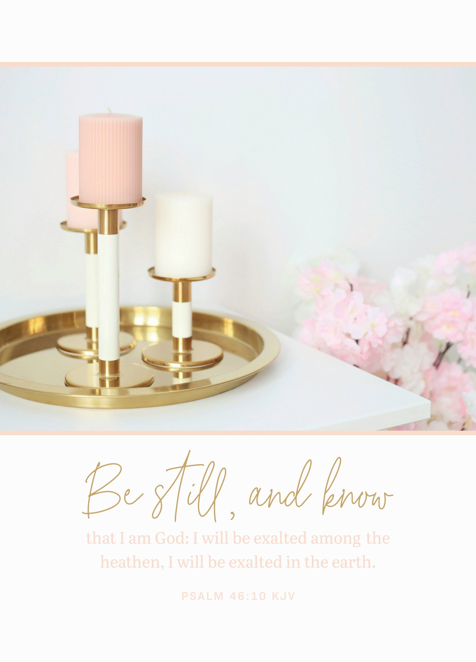 550-0216 Product Image 1