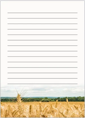 Notepad: Harvest 4x6" - 50 sheets - ETA Sept 2026