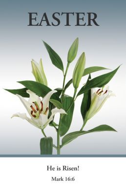 553-0047 Product Image 1