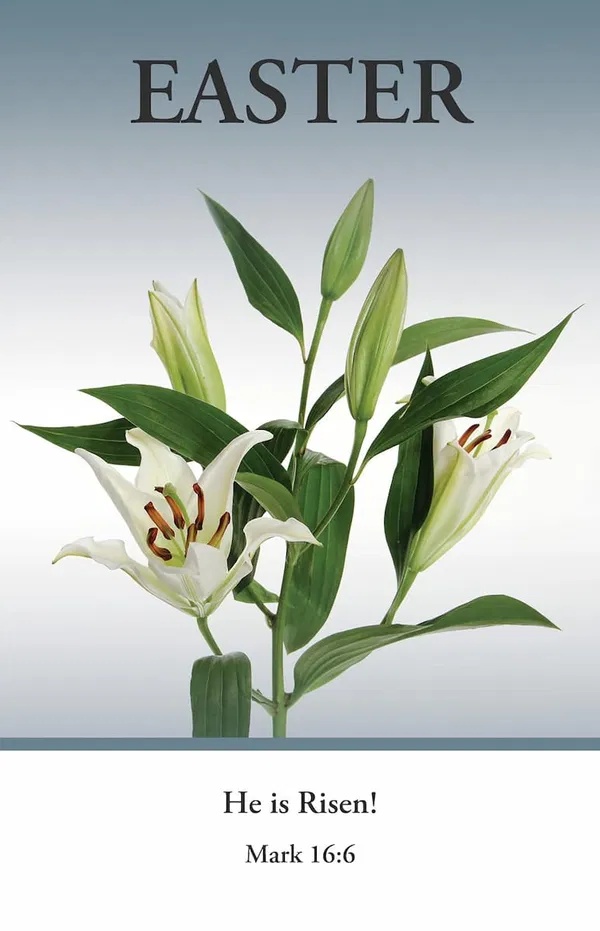 553-0047 Product Image 1