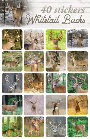 Whitetail Bucks Stickers 40 pk.
