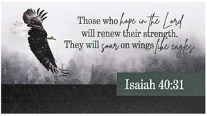 Eagle Magnet Isaiah 40:31