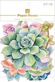 Succulents Large Stickers 24 pc.