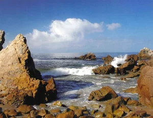 Attendance Chart - Rocky Coast