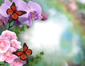 Attendance Chart - Butterflies and Flowers