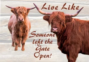 Highland Cow Magnet - Live Like Gate Open