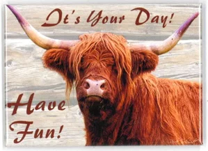 Highland Cow Magnet - It's Your Day
