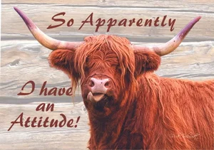 Highland Cow Magnet - Attitude