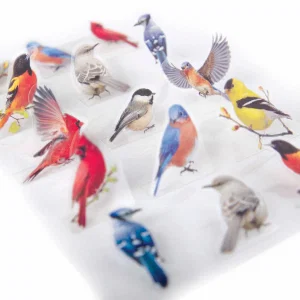 Pop Up Stickers Backyard Birds