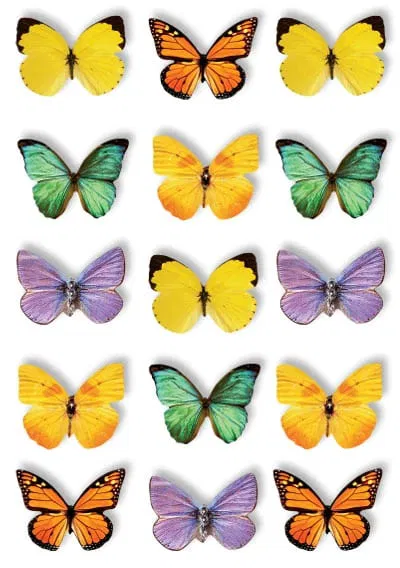 555-0188 Product Image 2
