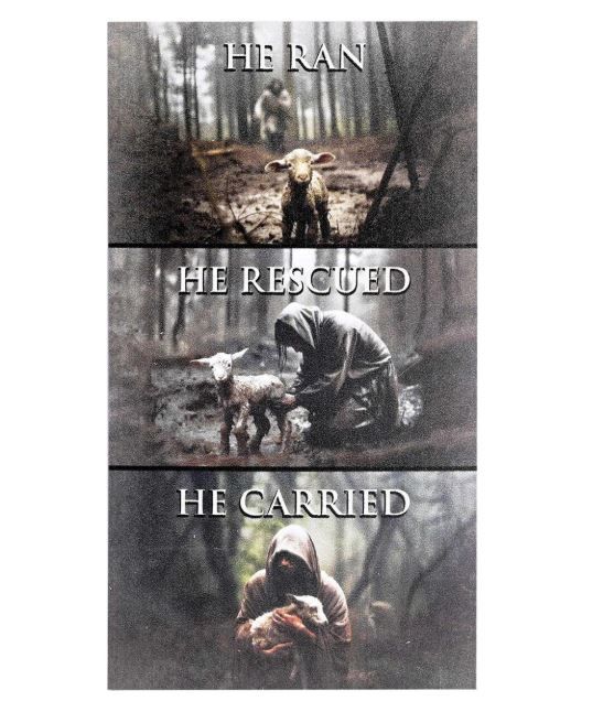 555-1019 Product Image 1