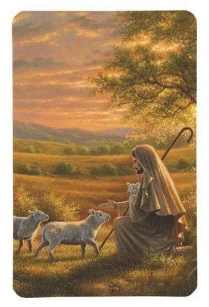 Pocketcard: Jesus And The Lamb