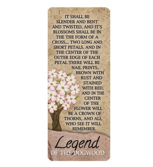 560-0028 Product Image 1