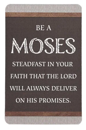 Pocketcard - Be A Moses