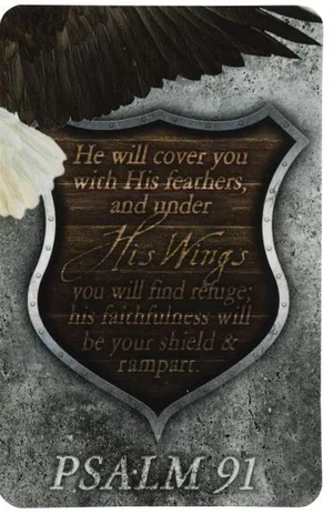 Psalm 91 Eagle Pocketcard