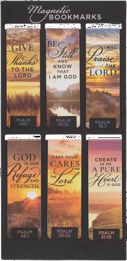 560-0282 Product Image 1