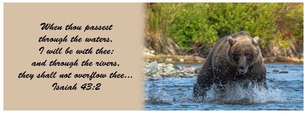 560-0301 Product Image 1