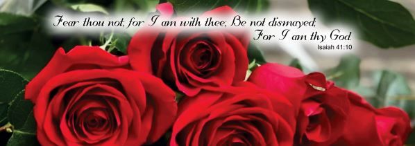 Product 560-0303 - View 1 560-0303 Product Image 1