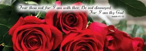 Red Rose Bookmark Isaiah 41:10