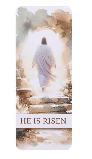 560-0357 Product Image 1